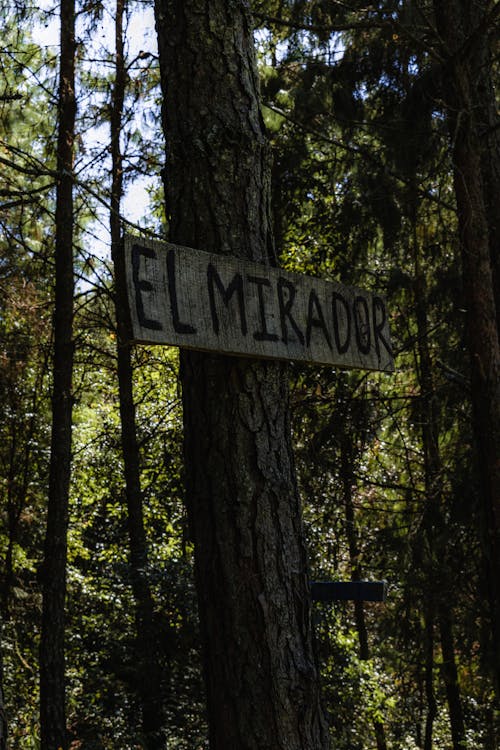 Ilmainen kuvapankkikuva tunnisteilla el mirador, espanja, johtokunta