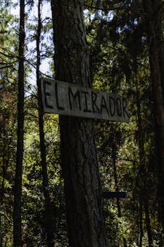 Sign 'El Mirador' on a tree in a dense forest
