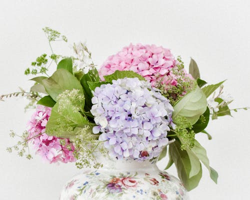 Gratis Fotos de stock gratuitas de arreglo floral, de cerca, flora Foto de stock