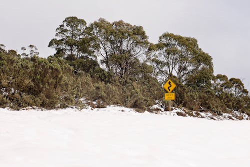 Δωρεάν στοκ φωτογραφιών με bushland, highlands, tasmania