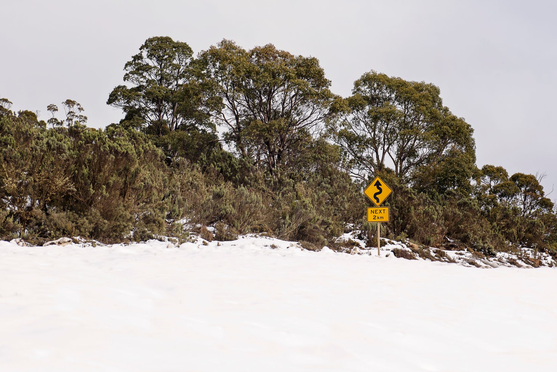 Sobrevivir tu Primer Invierno en Australia