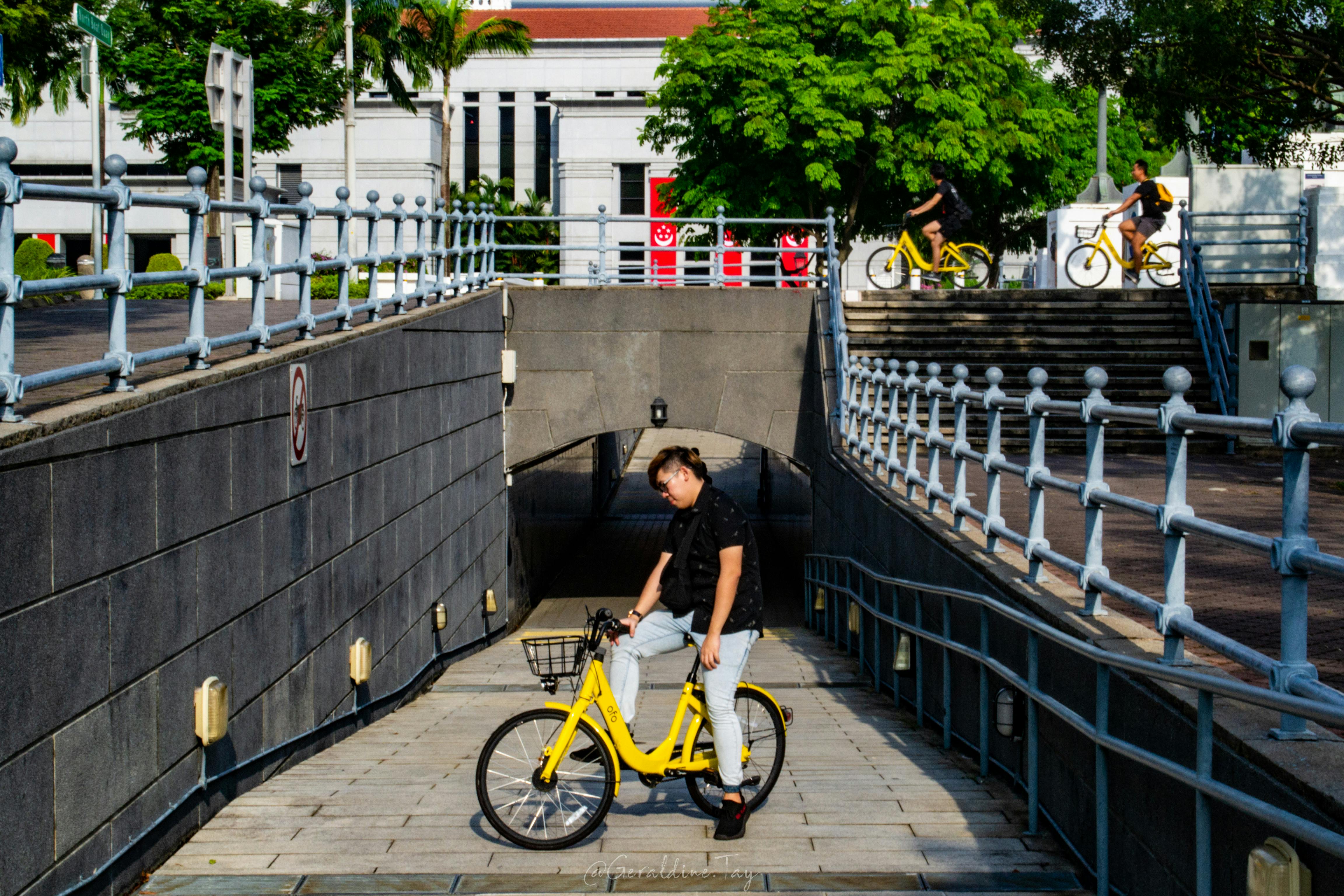 ofo stock