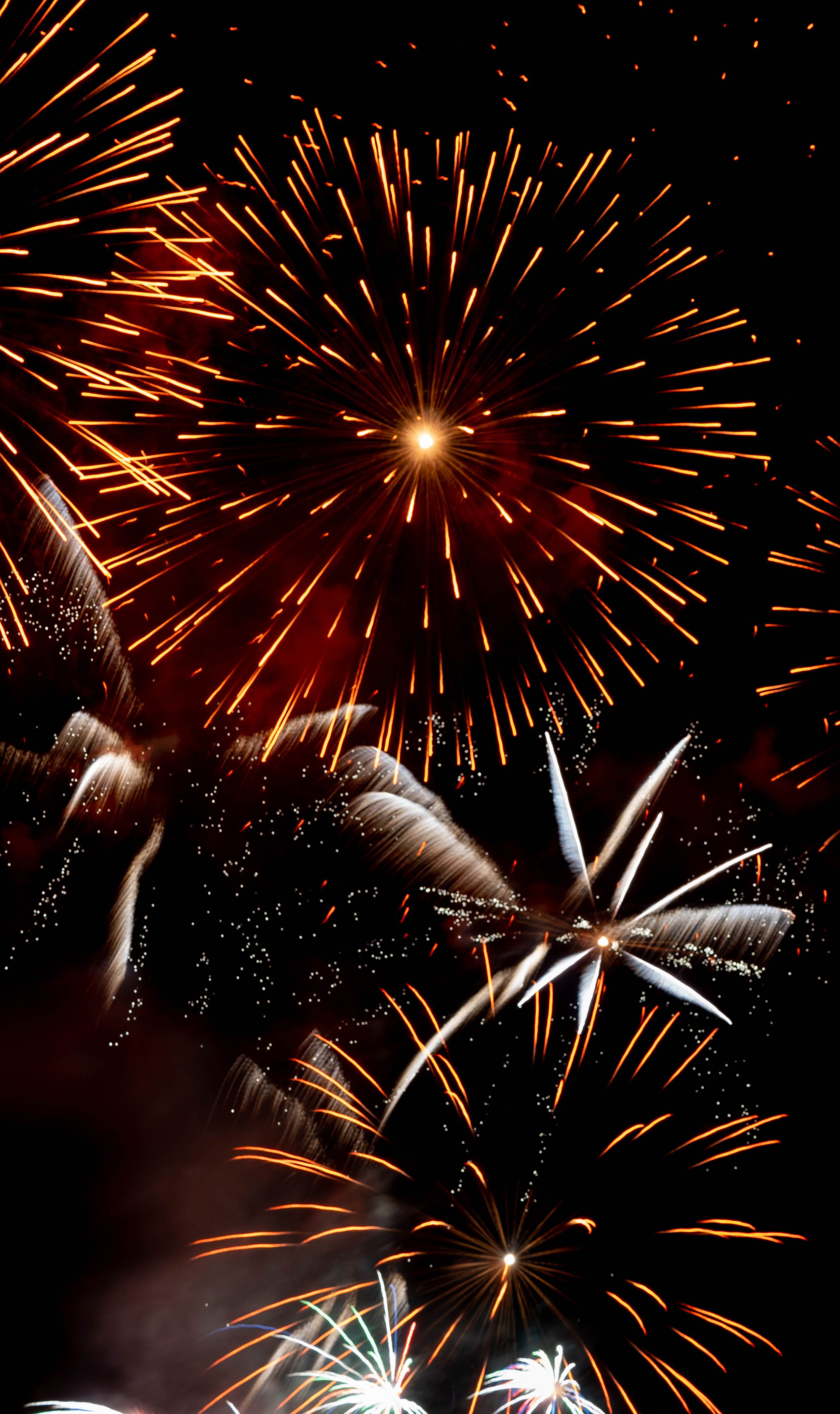 De franc Focs Artificials Al Cel Negre  Foto d'estoc