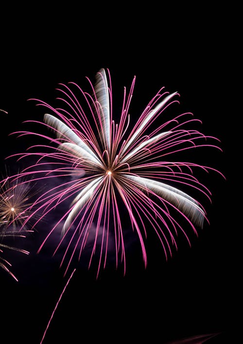 Fireworks on Black Sky 