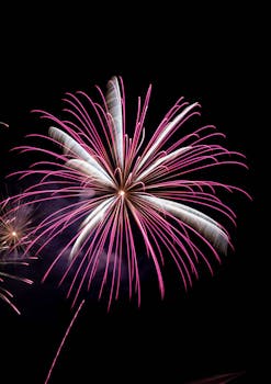 Captivating fireworks burst illuminating the night sky with vibrant colors in a celebratory display.