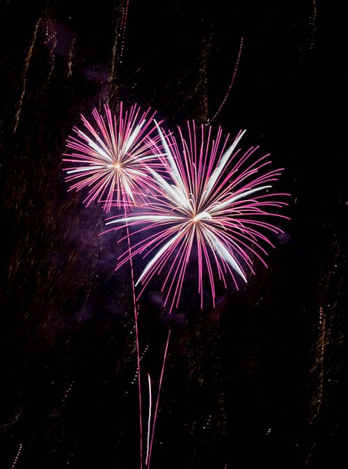 Fireworks on Black Sky 