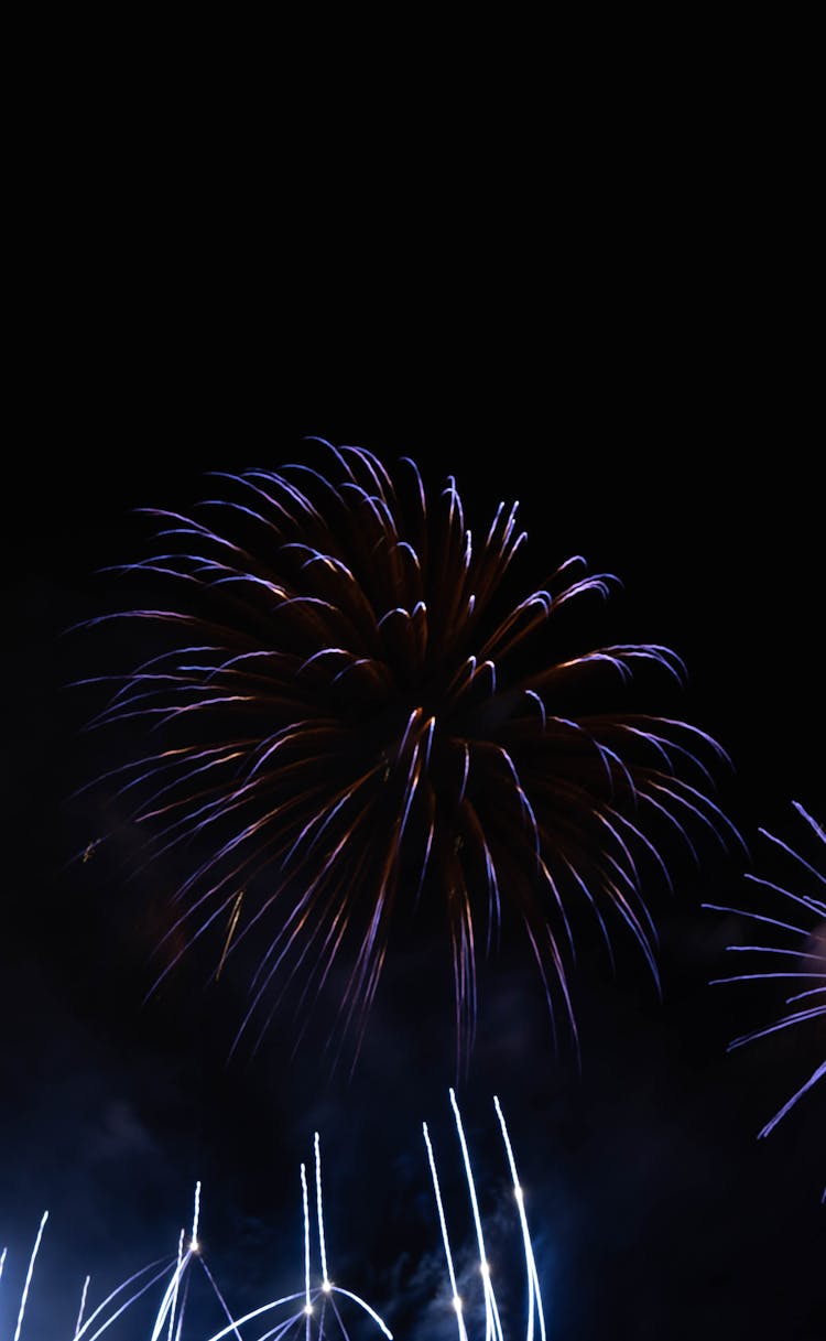 Fireworks Flower