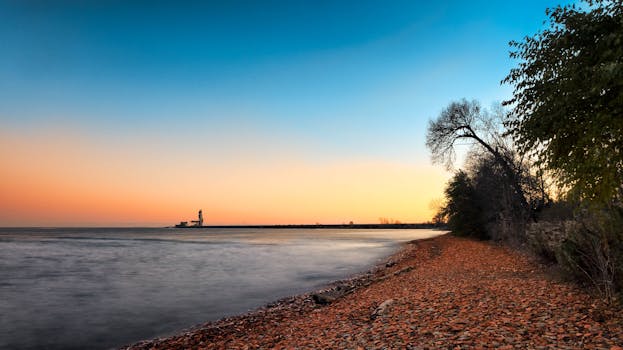 Trees on Shoreline Under Blue Sky