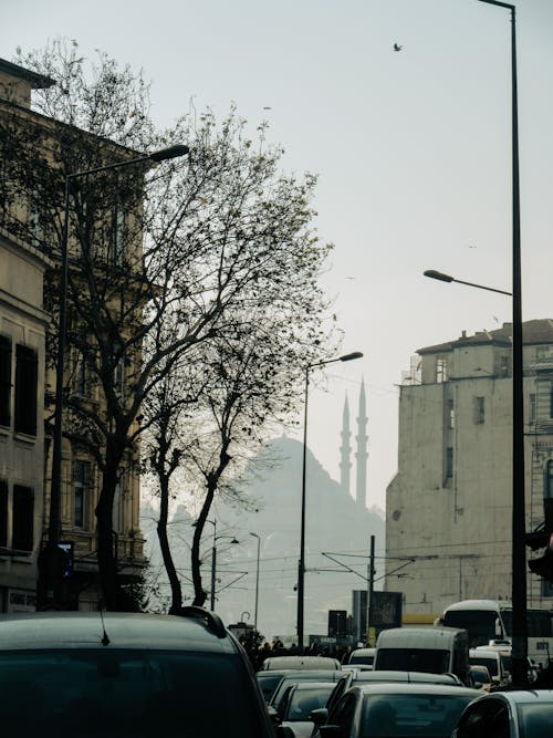 Silhouette of Mosque in City