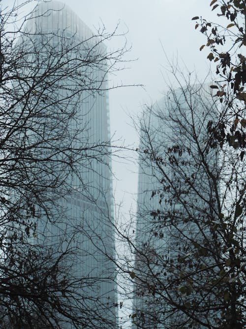 고층 건물, 날씨, 도시의 무료 스톡 사진