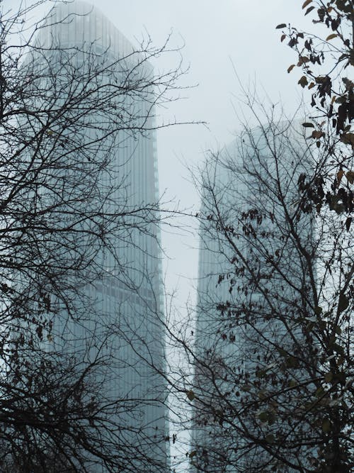 Skyscrapers in Fog