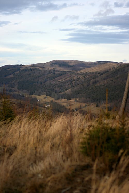 Darmowe zdjęcie z galerii z fotografia krajobrazowa, horyzont, krajobraz