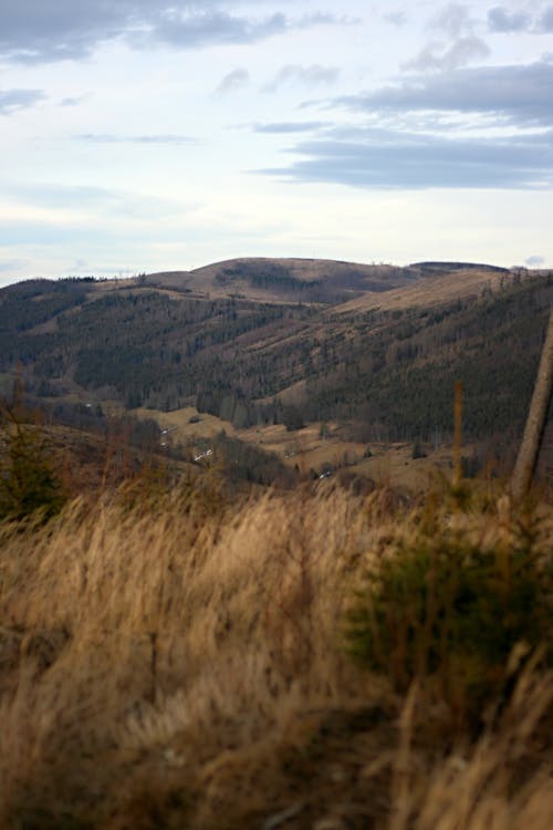 Free A Scenic Landscape in the Countryside Stock Photo