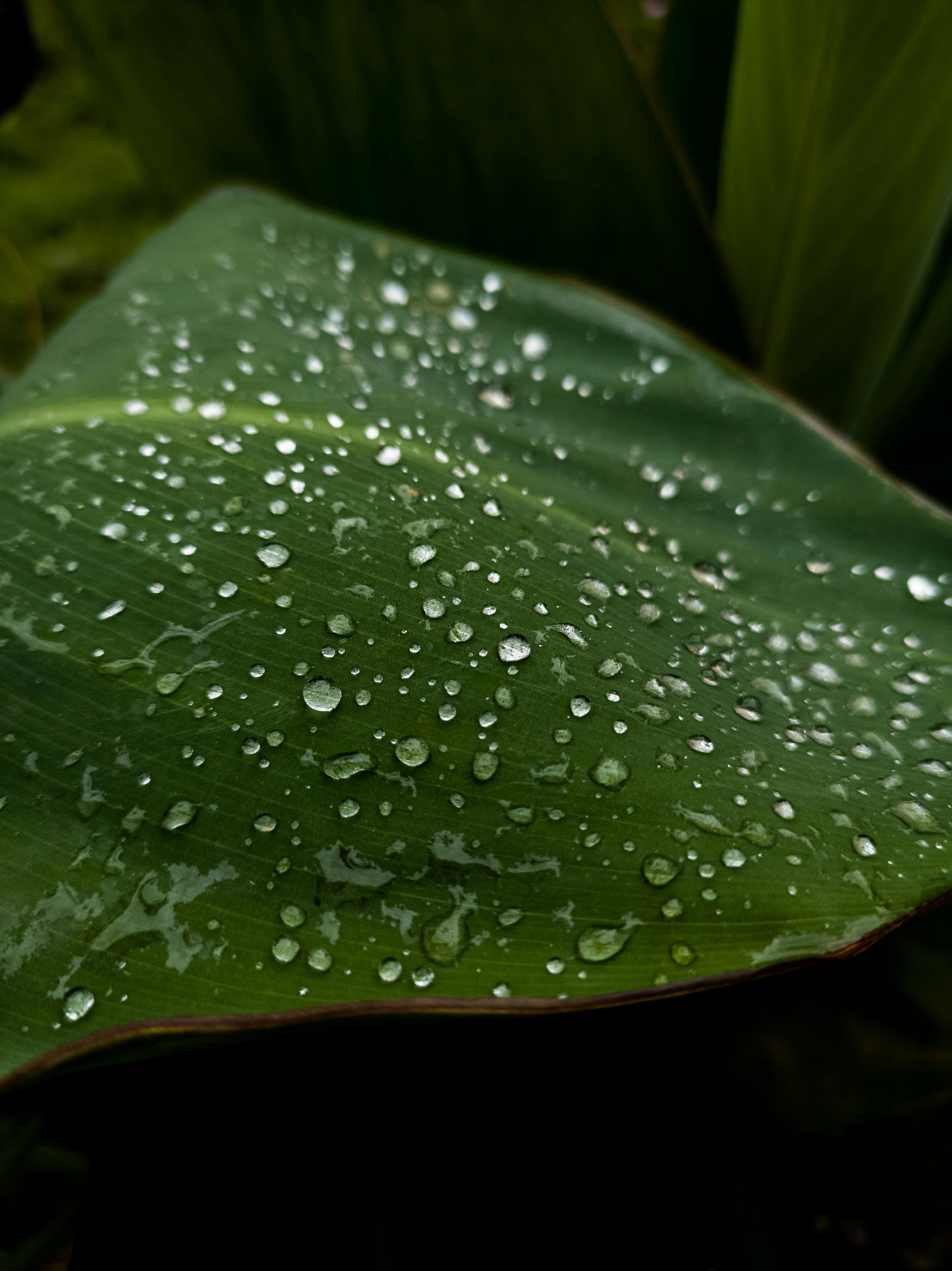 Wet Window · Free Stock Photo