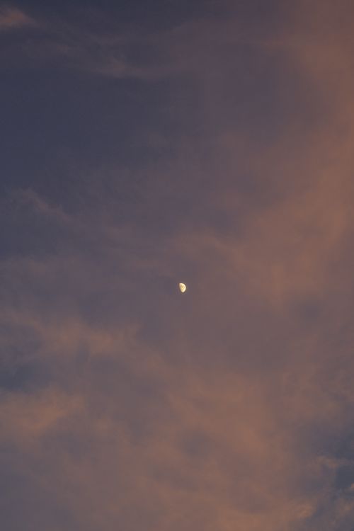 Free Serene image of the moon surrounded by twilight clouds, creating a peaceful evening scene. Stock Photo