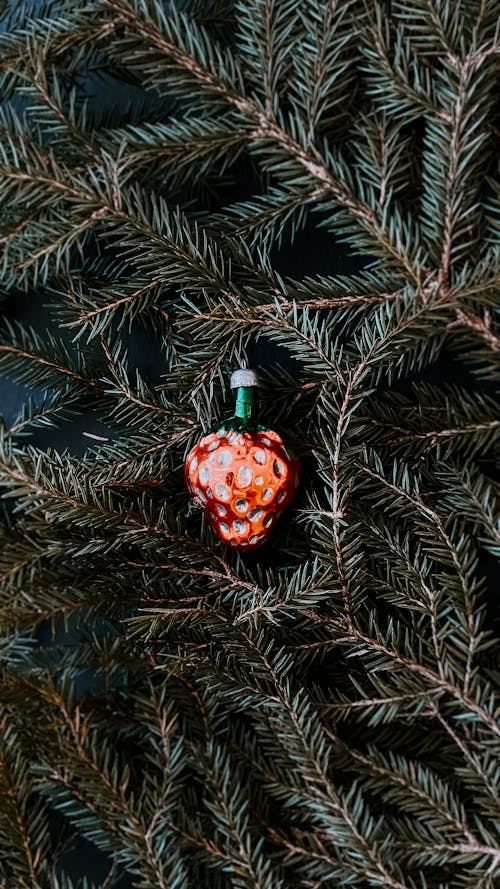 Christmas Ornament on Pine Tree Leaves