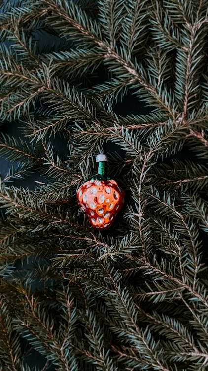 Christmas Ornament on Pine Tree Leaves