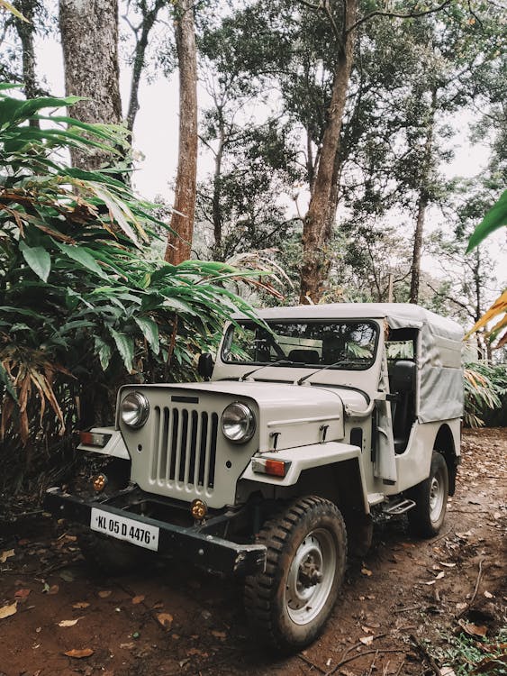 An Off Road Jeep Parked in the Forest