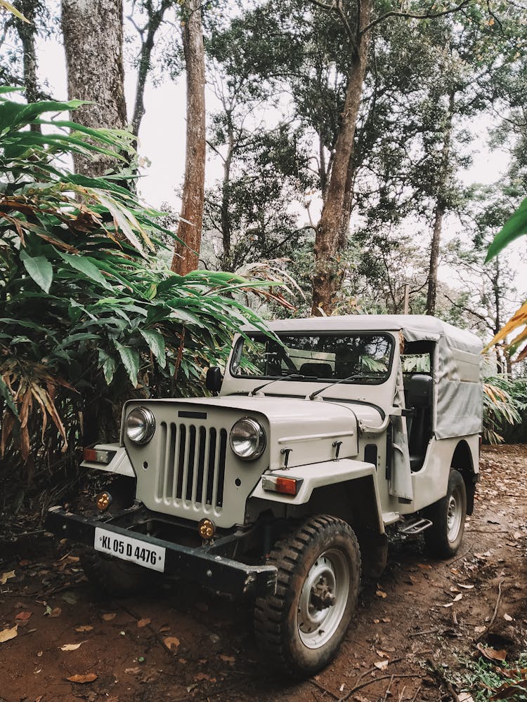 An Off Road Jeep Parked In The Forest