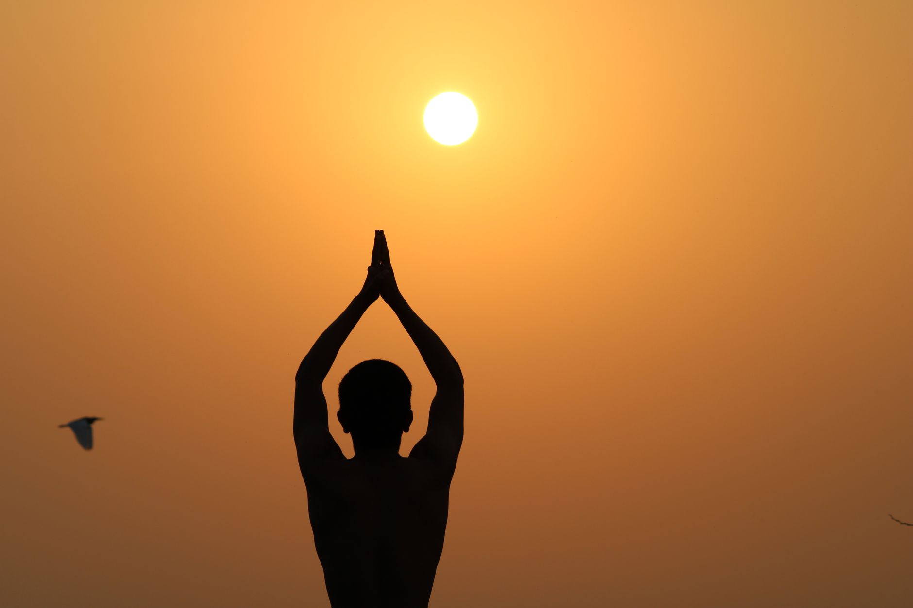 The Science of Personalized Meditation: A Complete Guide