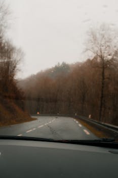 View from car driving on a wet autumn forest road, showcasing nature's seasonal beauty.