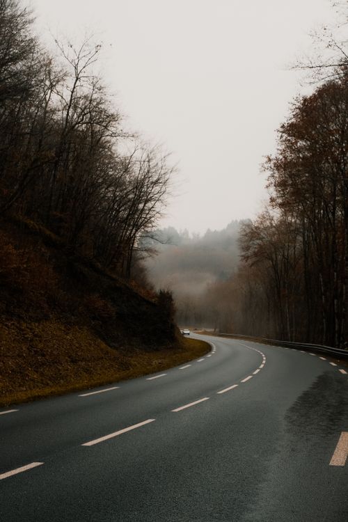 Free Serene misty road winding through an autumn forest enveloped in fog, capturing a tranquil seasonal atmosphere. Stock Photo