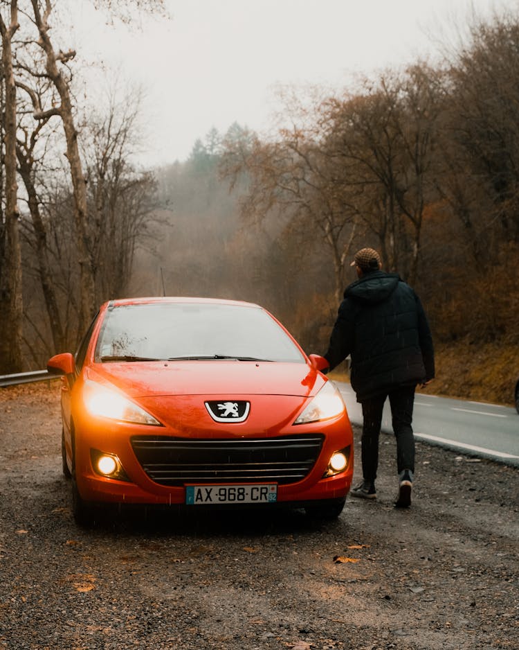 Peugeot On Roadside In Autumn