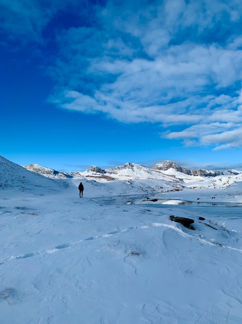 Man in Arctic Scenery