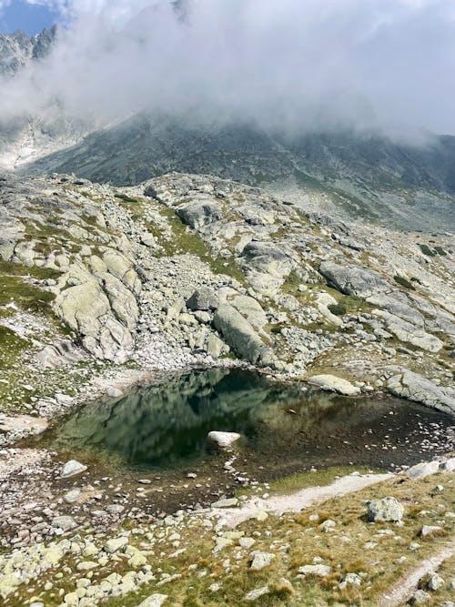 Imagine de stoc gratuită din erodate, fotografiere verticală, lac