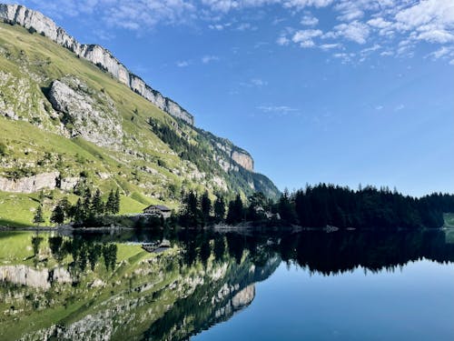 Photos gratuites de cailloux, forêt, géologie