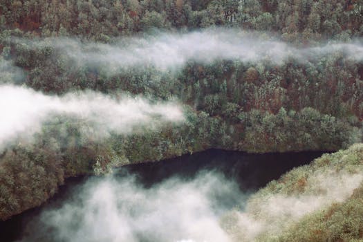 A breathtaking aerial view of a fog-covered forest surrounding a tranquil lake.