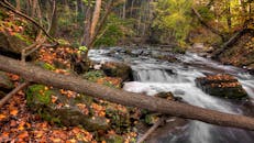 在安大略省汉密尔顿森林的小溪边，探索宁静的秋景