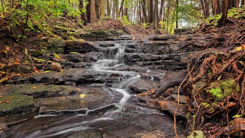 Water Falls Illustration