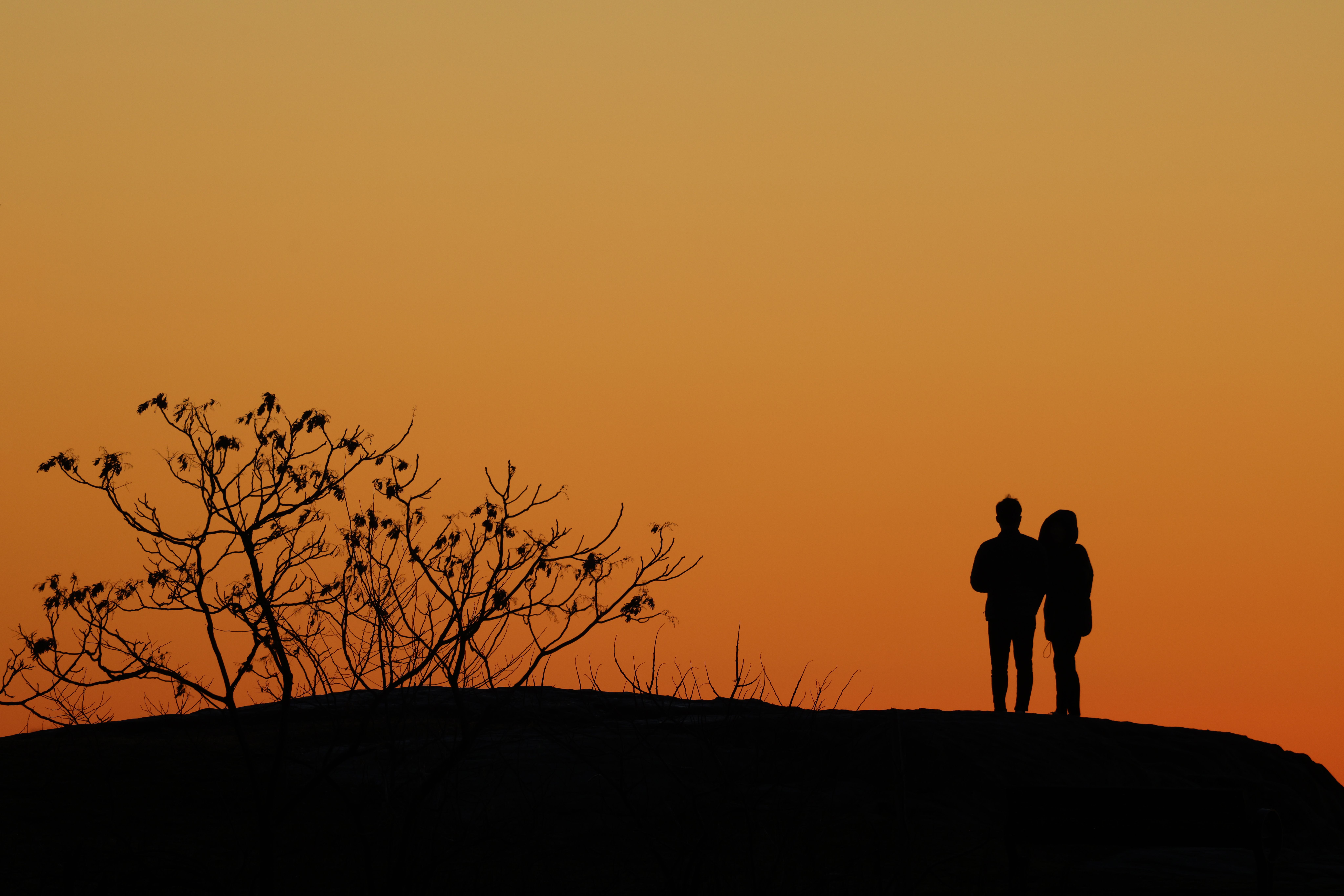 THE RELATIONSHIPS AUSTRALIA WA TRIALS PROVIDE A PATHWAY TO THE PRO FOR 24 LOCAL SURFERS — Photo by David Kanigan on Pexels