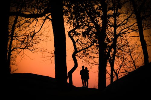 Silhouette of a Couple Standing under a Tree