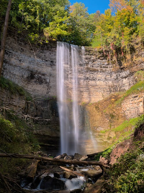 Forest With a View of Waterfalls