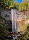 在郁郁葱葱的绿色植物中，感受安大略省汉密尔顿瀑布的宁静之美