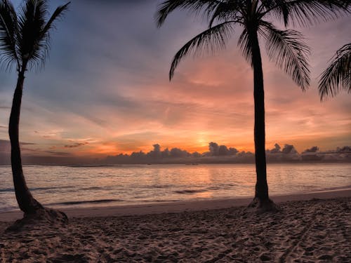 Free Sunset on Sea Shore Stock Photo