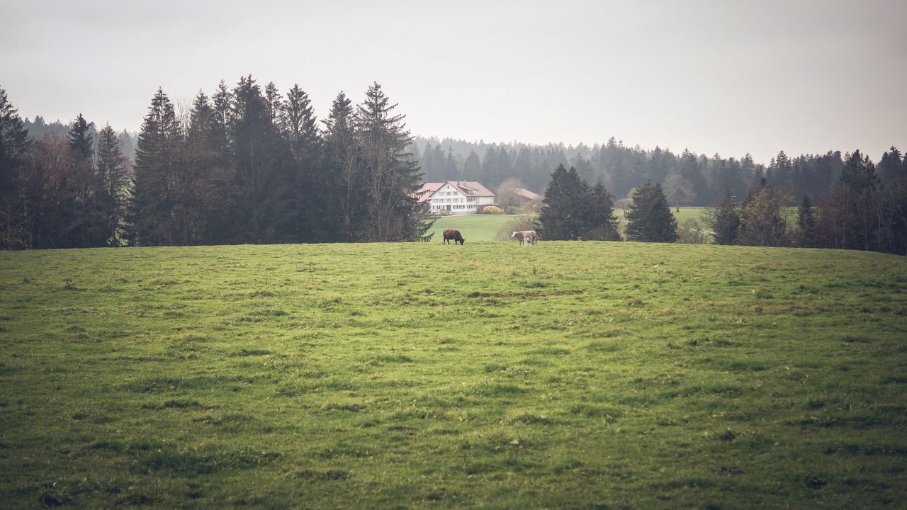 Isny im Allgäu