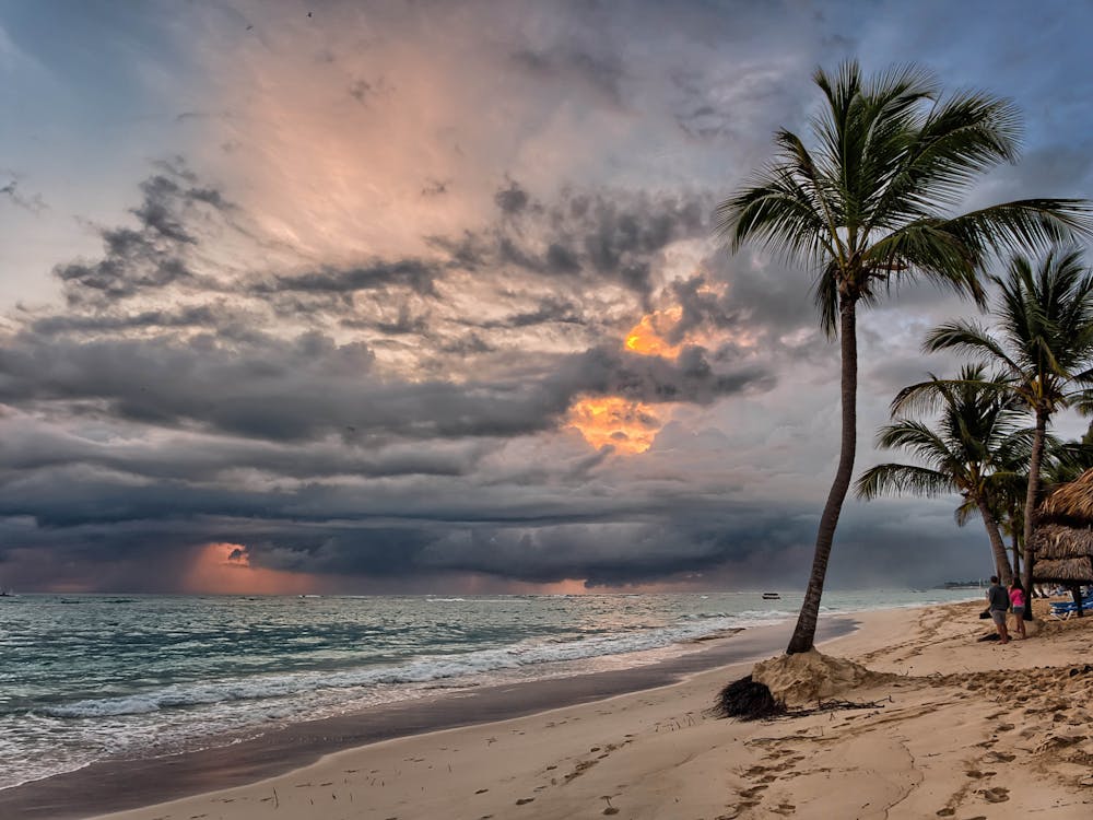 Fotobanka s bezplatnými fotkami na tému cestovať, idylický, kokosové palmy