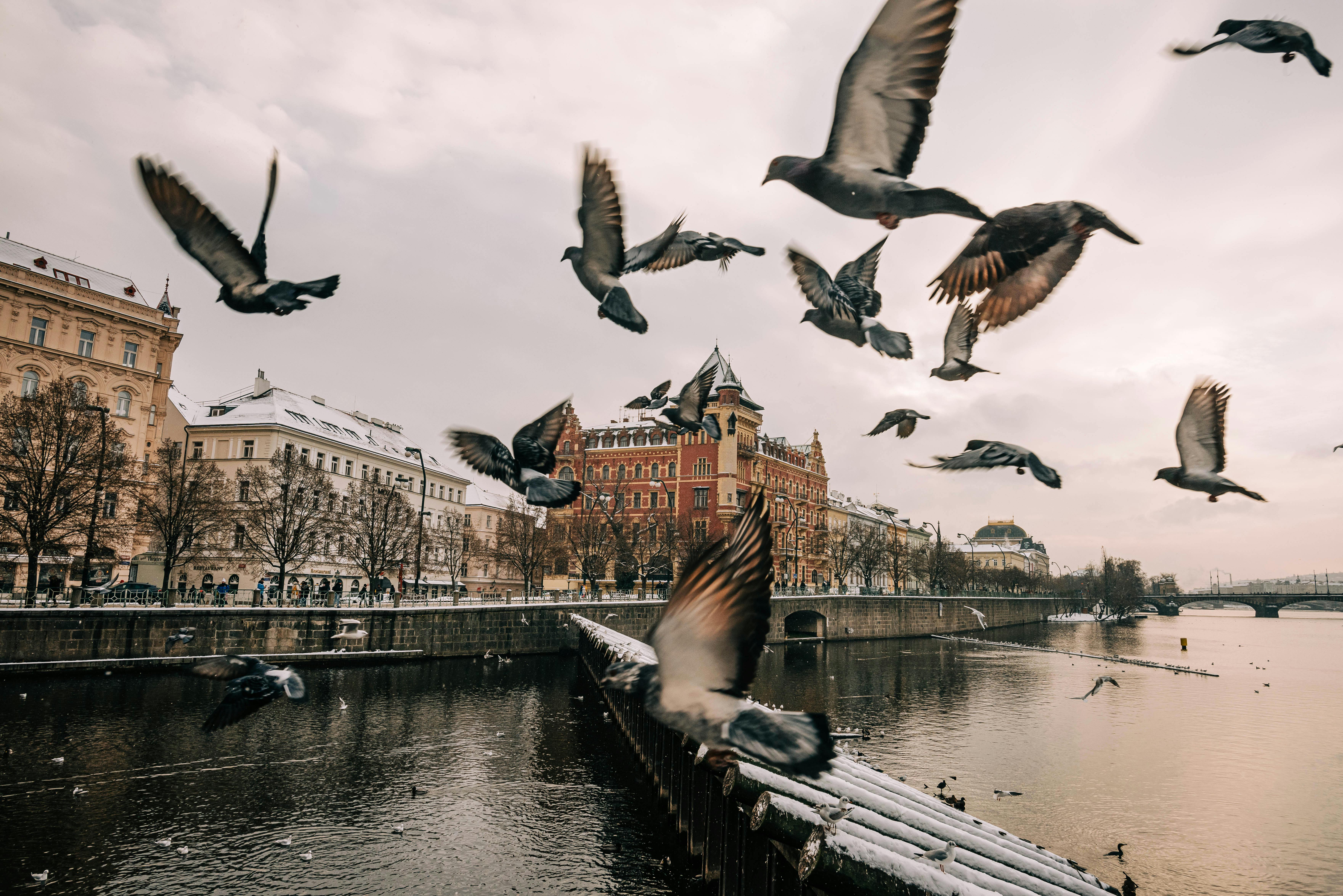 Hollywood Action and Historical Context