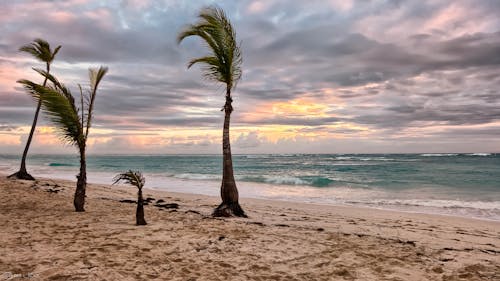 Kostenloses Stock Foto zu bedeckt, insel, meer