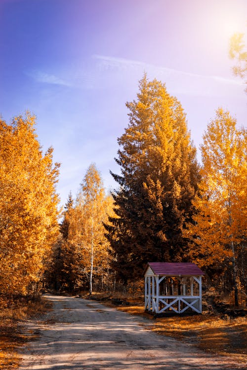 Foto Di Una Tettoia In Legno