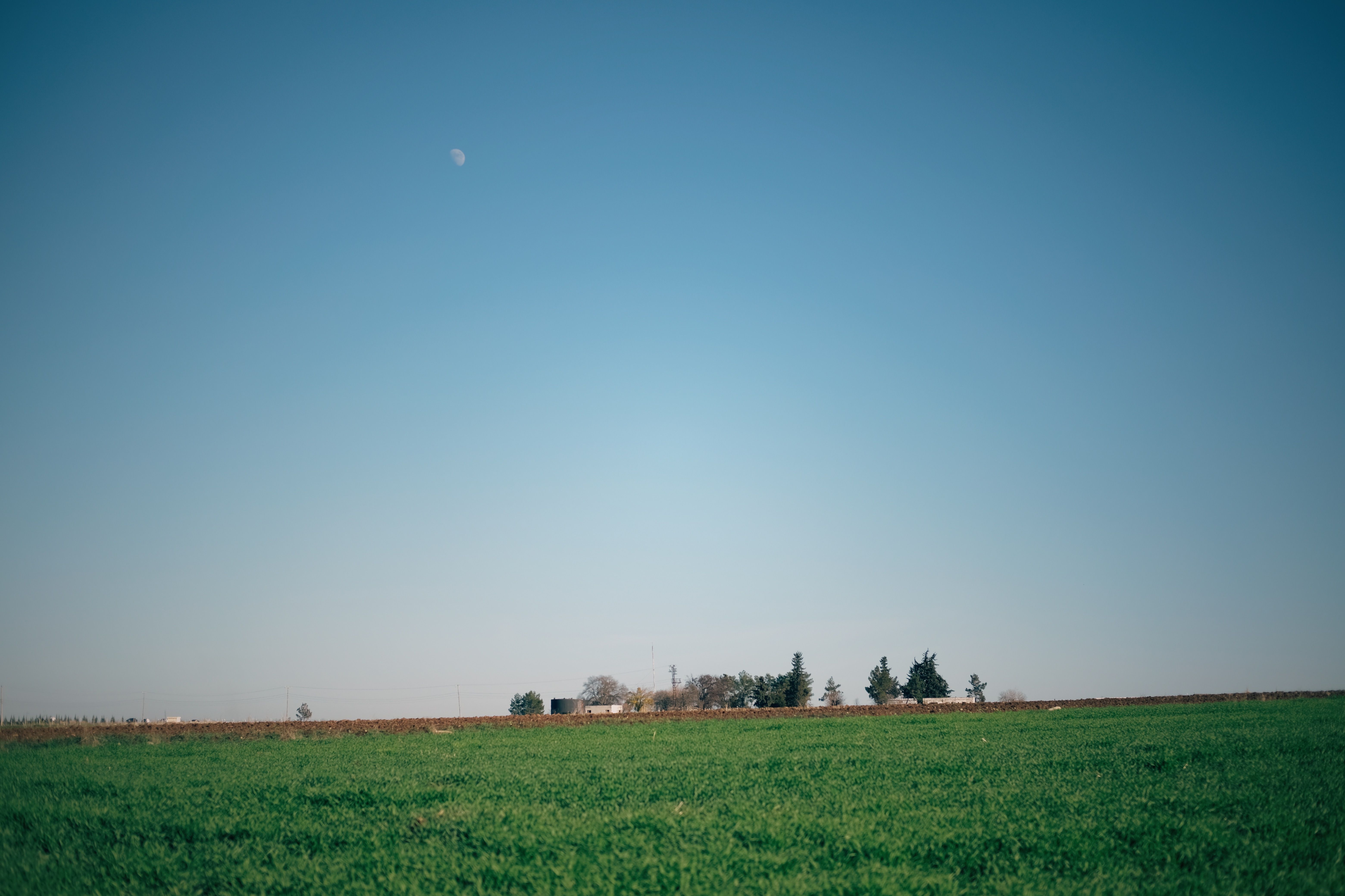 Peaceful green field under a clear blue sky in Adıyaman, Turkey, with distant horizon.