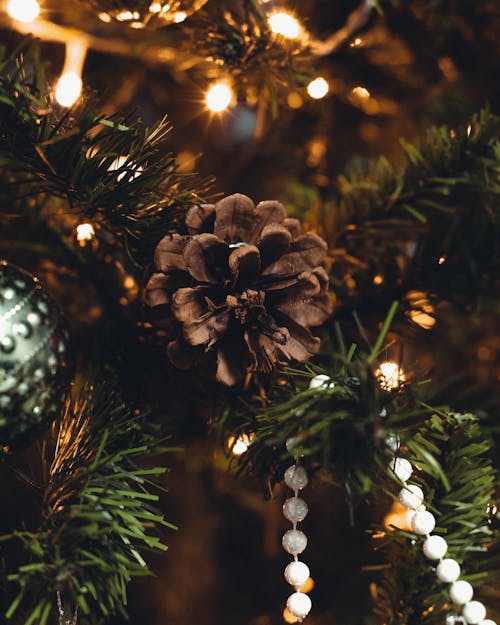 Gratis stockfoto met detailopname, kerstboom, kerstdecoratie