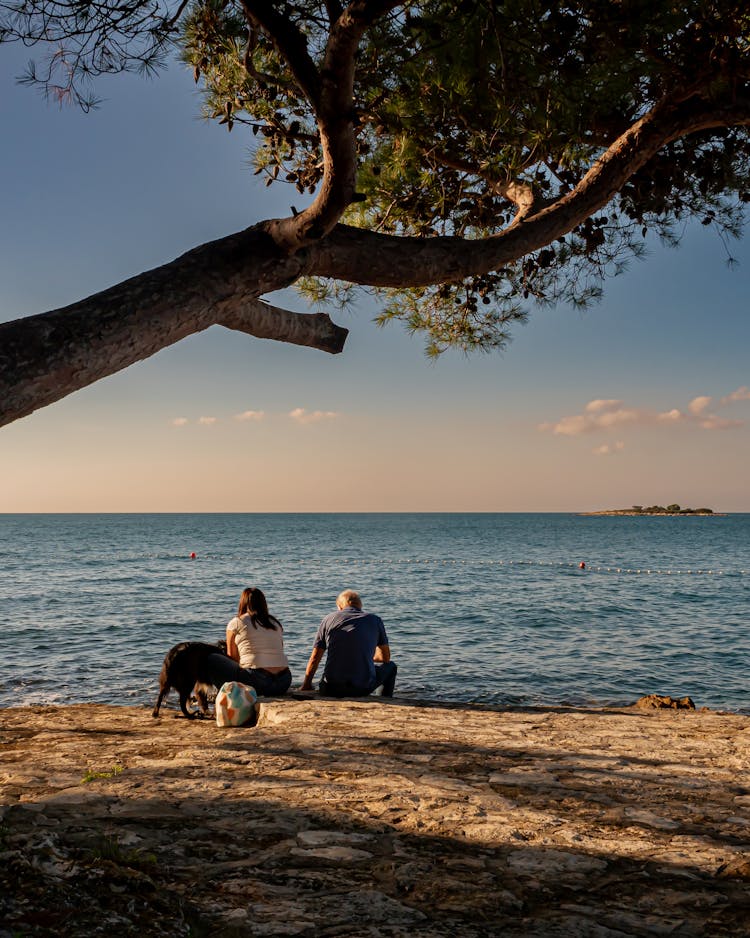 Woman And Man With Dog Sitting On Beach