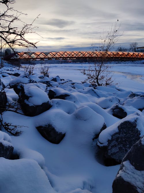 Gratis lagerfoto af calgary, Canada, forkølelse