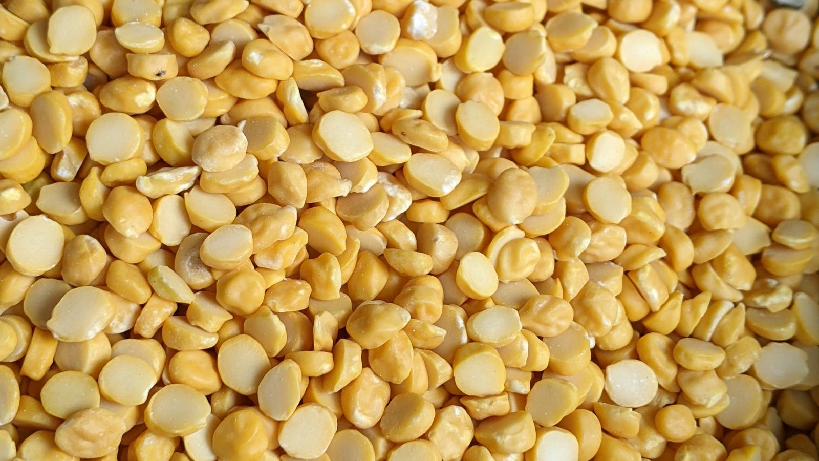 Close-up of yellow split peas showing texture and color — photo by MOHD ADNAN KHAN on Pexels Close-up of yellow split peas showing texture and color