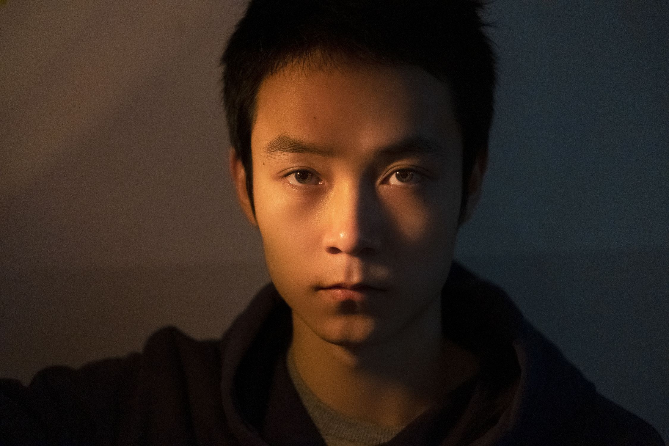 Portrait of a Young Man · Free Stock Photo