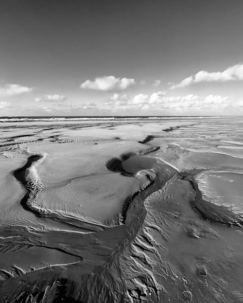 Fotos de stock gratuitas de arena, blanco y negro, Desierto